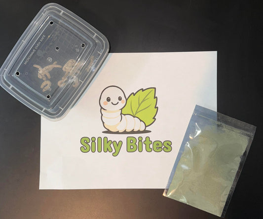 Medium Silkworms (2-3 week pre order)