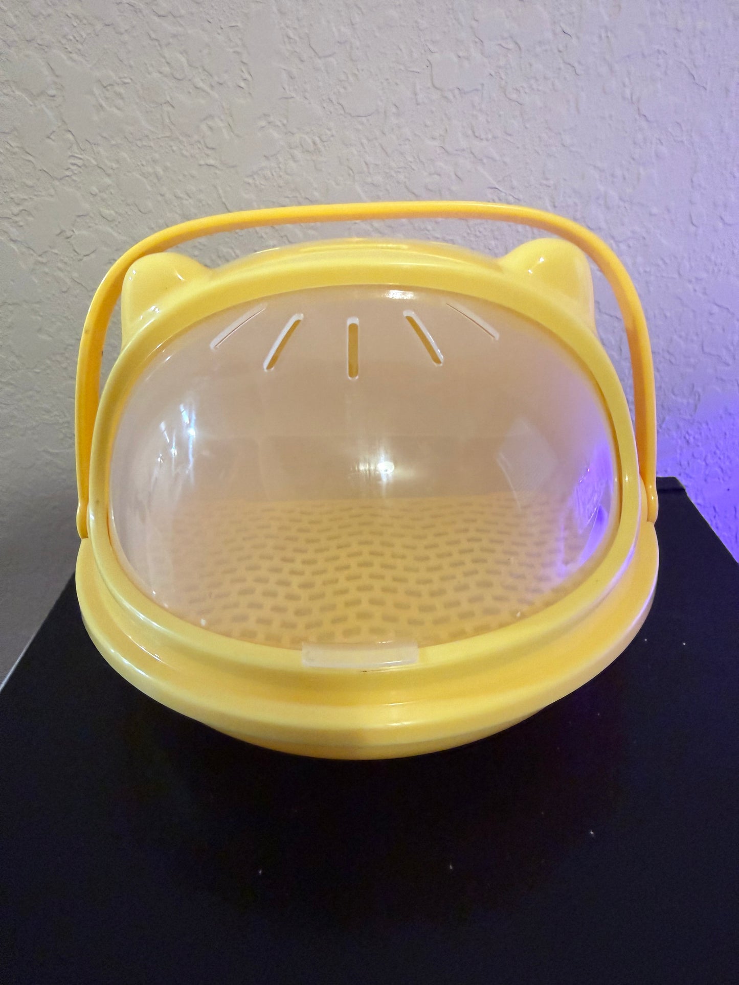 Silkworm Enclosure